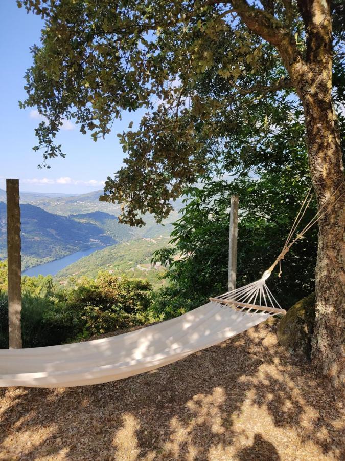 Paraiso Hills - Encostas Do Paraiso: Tranquilidade No Douro Resende Kültér fotó