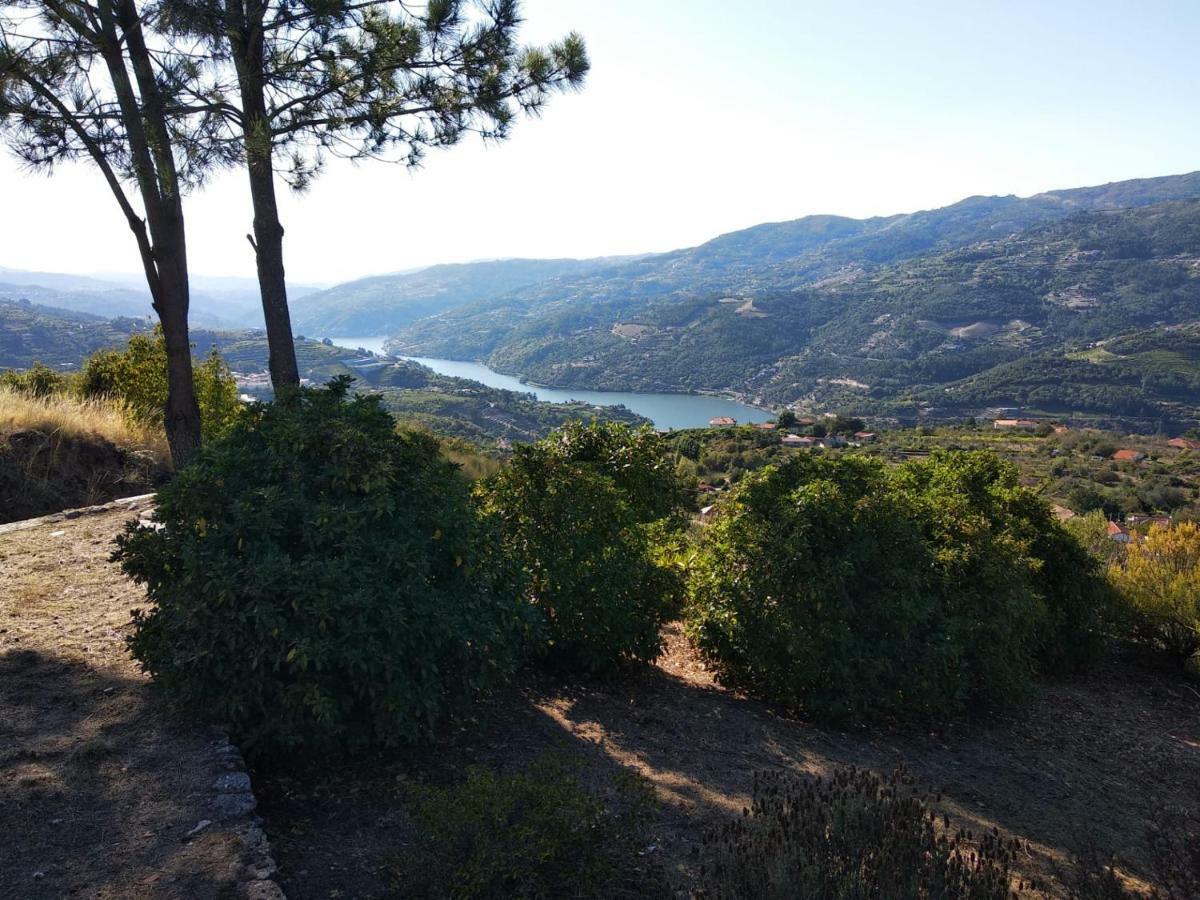 Paraiso Hills - Encostas Do Paraiso: Tranquilidade No Douro Resende Kültér fotó